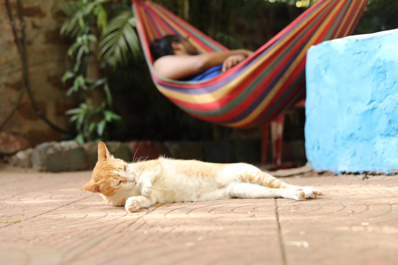 Goanvibes Hostel อันจูนา ภายนอก รูปภาพ