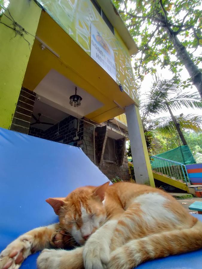 Goanvibes Hostel อันจูนา ภายนอก รูปภาพ